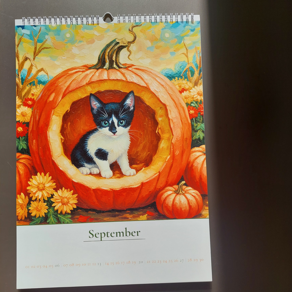 Katzenkalender Septemberbild